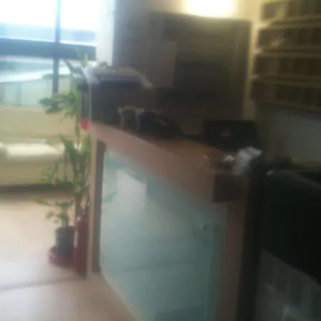 Aparthotel Grotte 4*
